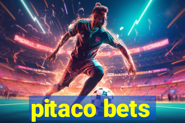 pitaco bets